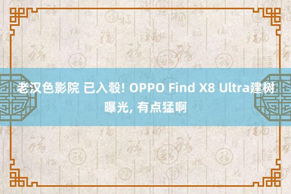 老汉色影院 已入彀! OPPO Find X8 Ultra建树曝光， 有点猛啊