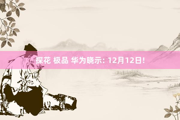 探花 极品 华为晓示: 12月12日!