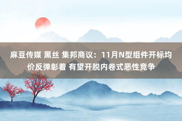 麻豆传媒 黑丝 集邦商议：11月N型组件开标均价反弹彰着 有望开脱内卷式恶性竞争
