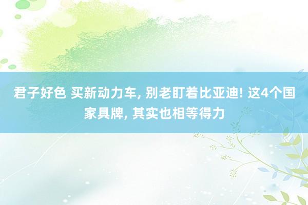 君子好色 买新动力车， 别老盯着比亚迪! 这4个国家具牌， 其实也相等得力