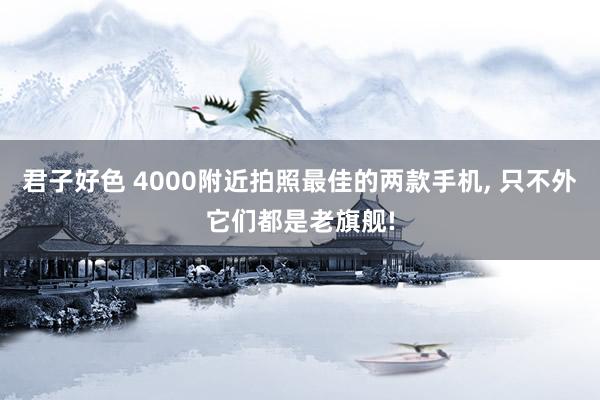 君子好色 4000附近拍照最佳的两款手机， 只不外它们都是老旗舰!