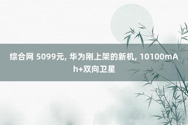 综合网 5099元， 华为刚上架的新机， 10100mAh+双向卫星
