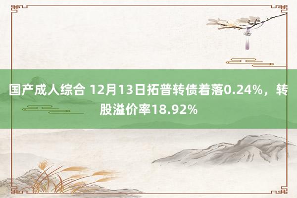 国产成人综合 12月13日拓普转债着落0.24%，转股溢价率18.92%