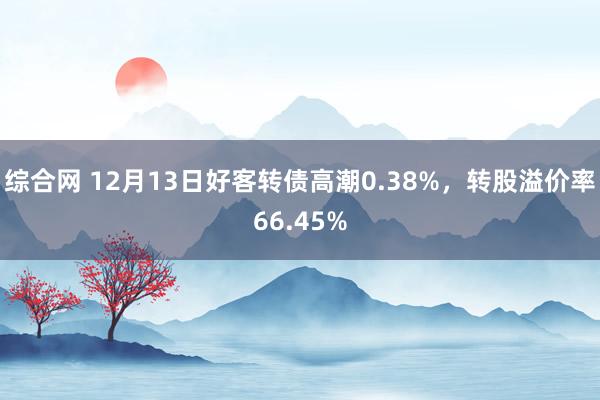 综合网 12月13日好客转债高潮0.38%，转股溢价率66.45%