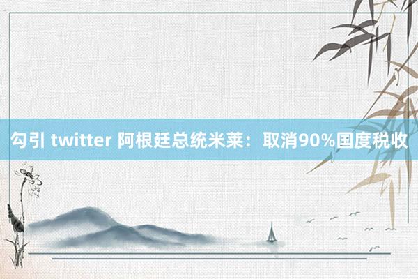 勾引 twitter 阿根廷总统米莱：取消90%国度税收