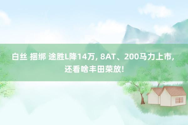 白丝 捆绑 途胜L降14万， 8AT、200马力上市， 还看啥丰田荣放!