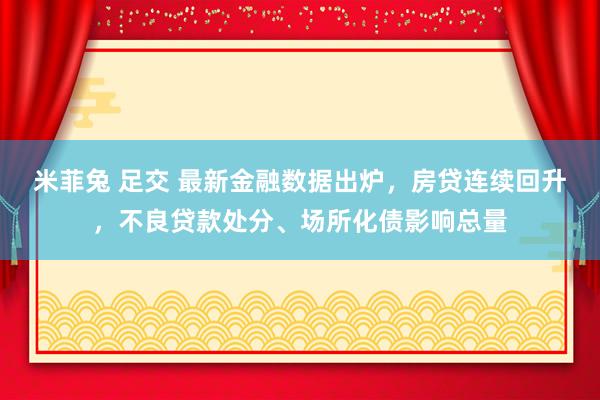 米菲兔 足交 最新金融数据出炉，房贷连续回升，不良贷款处分、场所化债影响总量