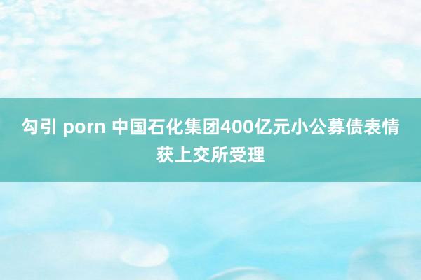 勾引 porn 中国石化集团400亿元小公募债表情获上交所受理