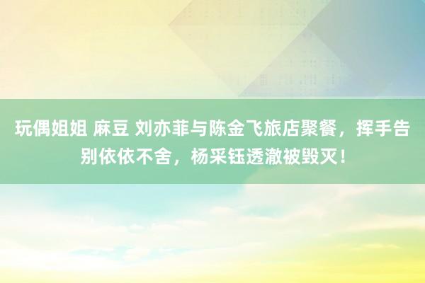 玩偶姐姐 麻豆 刘亦菲与陈金飞旅店聚餐，挥手告别依依不舍，杨采钰透澈被毁灭！