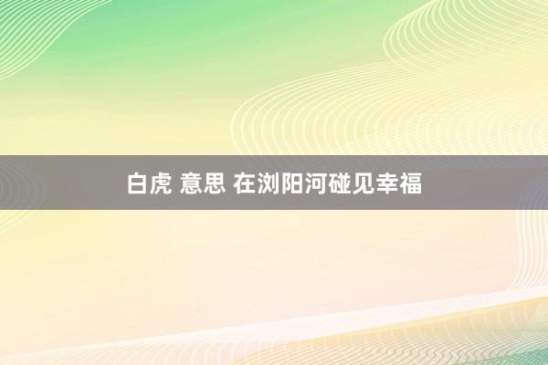白虎 意思 在浏阳河碰见幸福