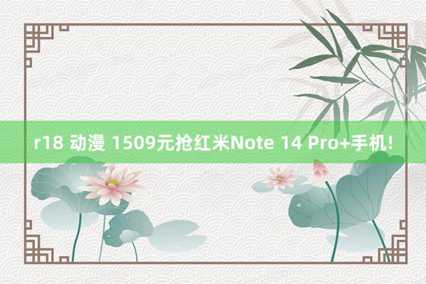 r18 动漫 1509元抢红米Note 14 Pro+手机!
