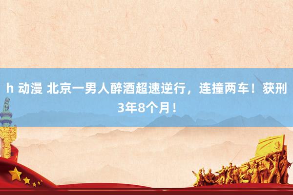 h 动漫 北京一男人醉酒超速逆行，连撞两车！获刑3年8个月！