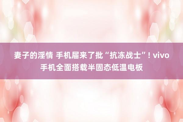 妻子的淫情 手机届来了批“抗冻战士”! vivo手机全面搭载半固态低温电板
