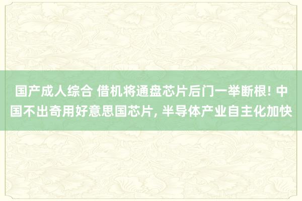 国产成人综合 借机将通盘芯片后门一举断根! 中国不出奇用好意思国芯片， 半导体产业自主化加快
