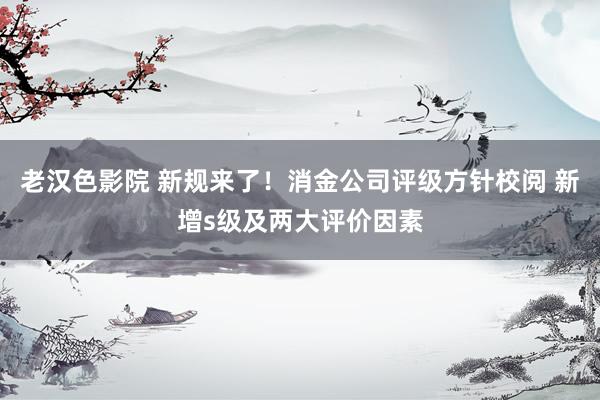 老汉色影院 新规来了！消金公司评级方针校阅 新增s级及两大评价因素