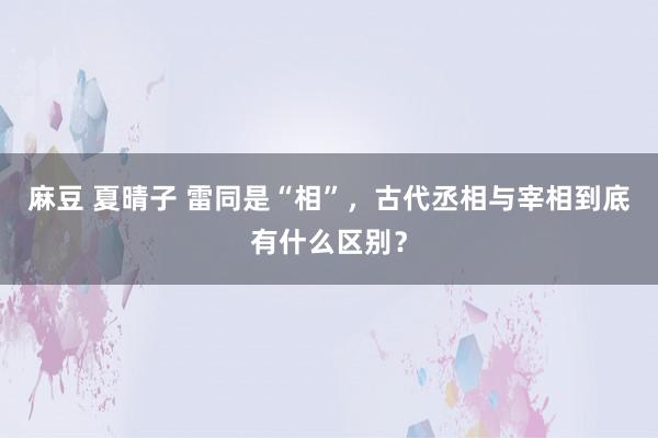 麻豆 夏晴子 雷同是“相”，古代丞相与宰相到底有什么区别？