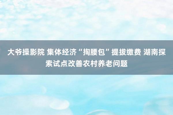 大爷操影院 集体经济“掏腰包”提拔缴费 湖南探索试点改善农村养老问题