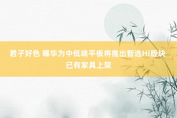 君子好色 曝华为中低端平板将推出智选Hi版块 已有家具上架