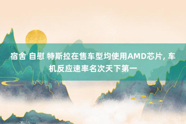 宿舍 自慰 特斯拉在售车型均使用AMD芯片， 车机反应速率名次天下第一