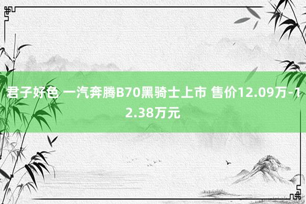 君子好色 一汽奔腾B70黑骑士上市 售价12.09万-12.38万元