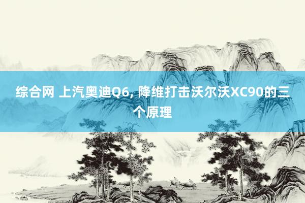 综合网 上汽奥迪Q6， 降维打击沃尔沃XC90的三个原理