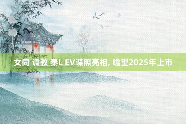 女同 调教 秦L EV谍照亮相， 瞻望2025年上市