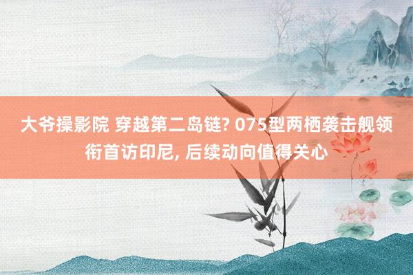 大爷操影院 穿越第二岛链? 075型两栖袭击舰领衔首访印尼， 后续动向值得关心