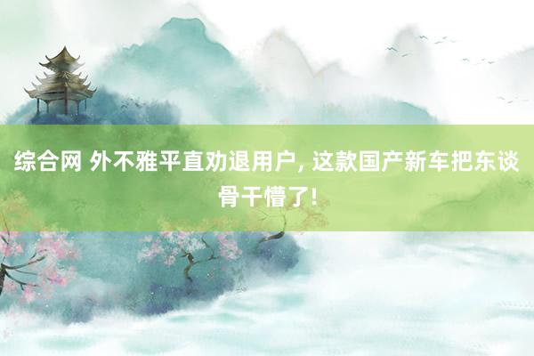 综合网 外不雅平直劝退用户， 这款国产新车把东谈骨干懵了!