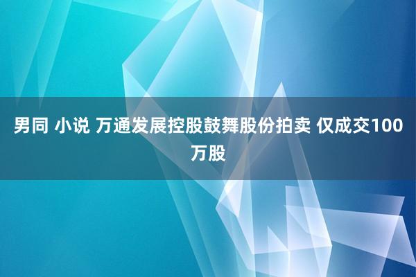 男同 小说 万通发展控股鼓舞股份拍卖 仅成交100万股