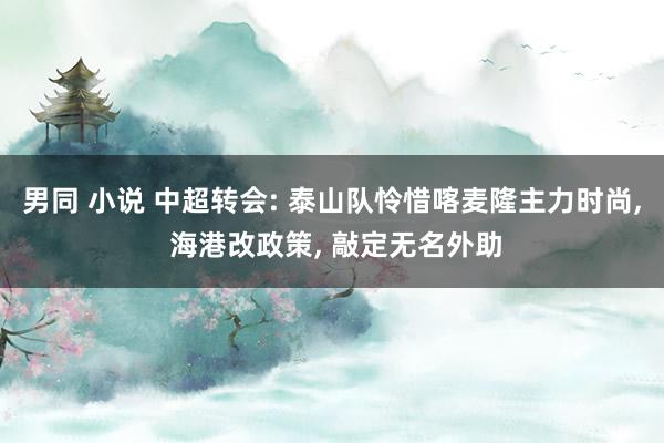 男同 小说 中超转会: 泰山队怜惜喀麦隆主力时尚， 海港改政策， 敲定无名外助