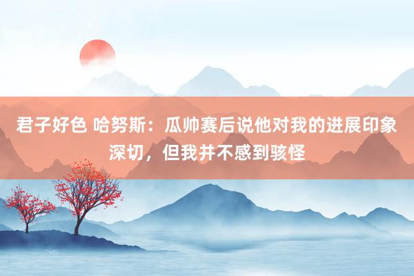 君子好色 哈努斯：瓜帅赛后说他对我的进展印象深切，但我并不感到骇怪