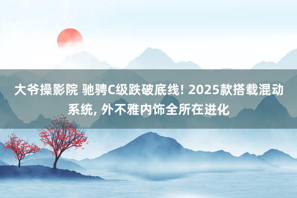 大爷操影院 驰骋C级跌破底线! 2025款搭载混动系统， 外不雅内饰全所在进化