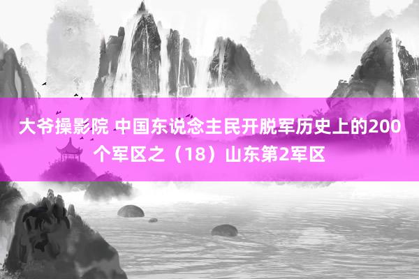 大爷操影院 中国东说念主民开脱军历史上的200个军区之(18)山东第2军区