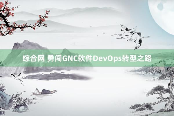 综合网 勇闯GNC软件DevOps转型之路