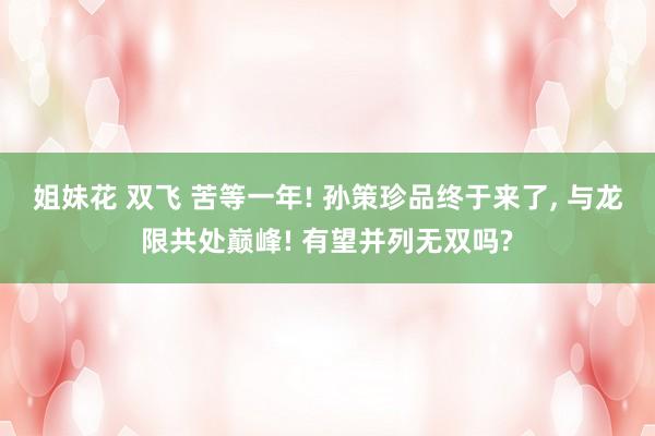 姐妹花 双飞 苦等一年! 孙策珍品终于来了， 与龙限共处巅峰! 有望并列无双吗?