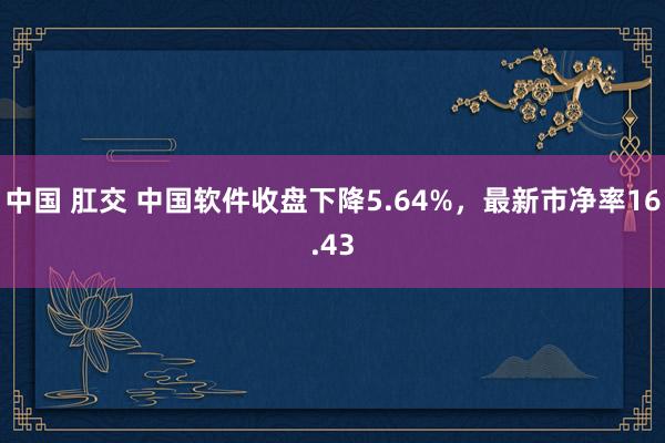 中国 肛交 中国软件收盘下降5.64%，最新市净率16.43