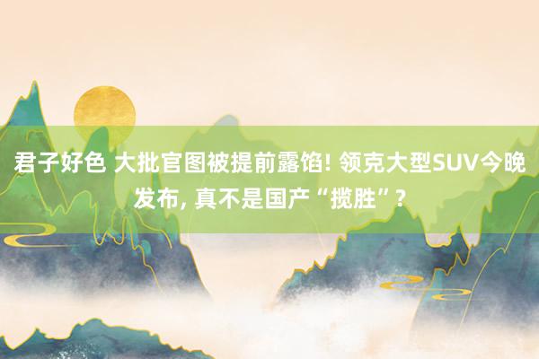 君子好色 大批官图被提前露馅! 领克大型SUV今晚发布， 真不是国产“揽胜”?