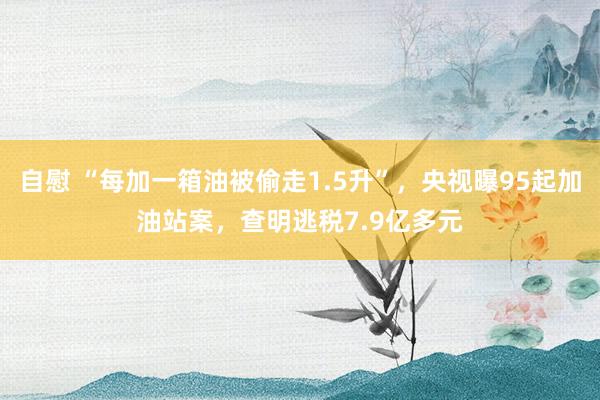自慰 “每加一箱油被偷走1.5升”，央视曝95起加油站案，查明逃税7.9亿多元