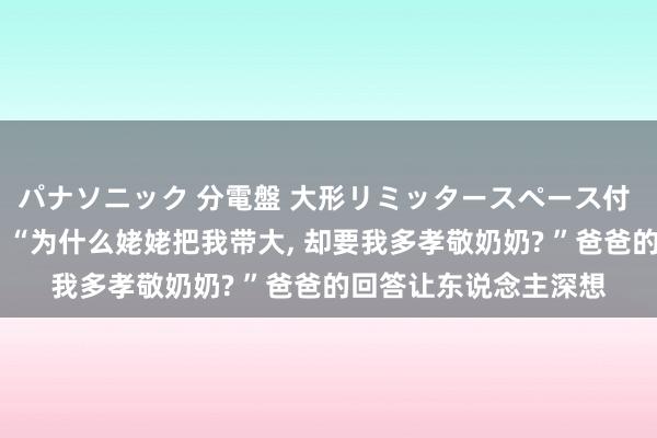 パナソニック 分電盤 大形リミッタースペース付 露出・半埋込両用形 “为什么姥姥把我带大， 却要我多孝敬奶奶? ”爸爸的回答让东说念主深想