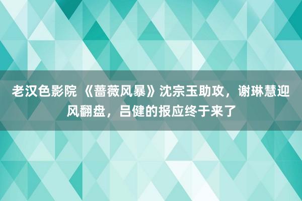 老汉色影院 《蔷薇风暴》沈宗玉助攻，谢琳慧迎风翻盘，吕健的报应终于来了