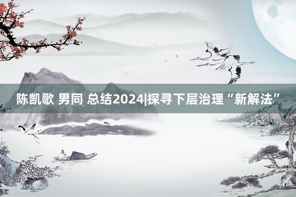 陈凯歌 男同 总结2024|探寻下层治理“新解法”