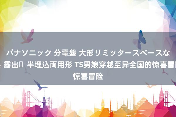 パナソニック 分電盤 大形リミッタースペースなし 露出・半埋込両用形 TS男娘穿越至异全国的惊喜冒险