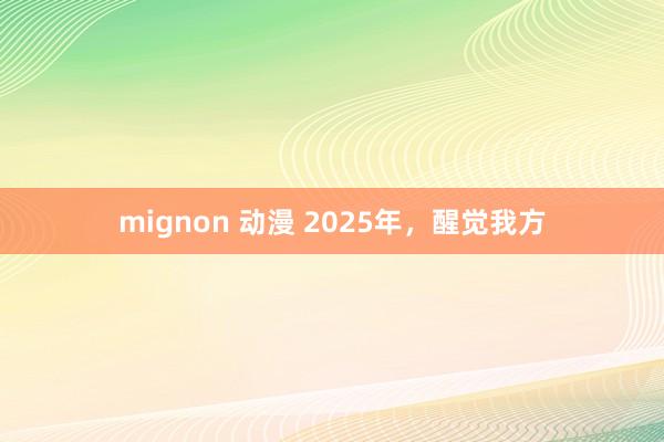mignon 动漫 2025年，醒觉我方