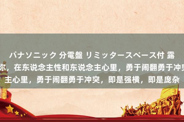 パナソニック 分電盤 リミッタースペース付 露出・半埋込両用形 告诉你，在东说念主性和东说念主心里，勇于闹翻勇于冲突，即是强横，即是庞杂