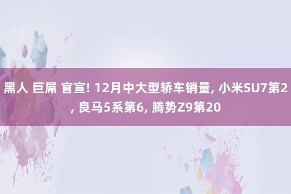 黑人 巨屌 官宣! 12月中大型轿车销量， 小米SU7第2， 良马5系第6， 腾势Z9第20