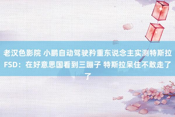 老汉色影院 小鹏自动驾驶矜重东说念主实测特斯拉FSD：在好意思国看到三蹦子 特斯拉呆住不敢走了
