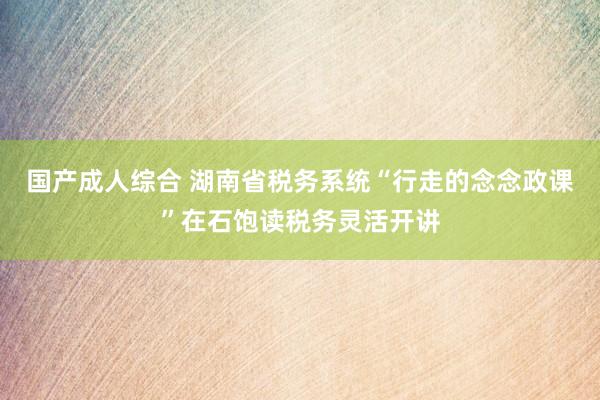 国产成人综合 湖南省税务系统“行走的念念政课”在石饱读税务灵活开讲