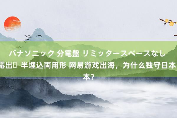 パナソニック 分電盤 リミッタースペースなし 露出・半埋込両用形 网易游戏出海，为什么独守日本？