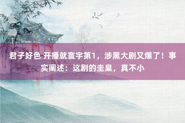 君子好色 开播就寰宇第1，涉黑大剧又爆了！事实阐述：这剧的圭臬，真不小