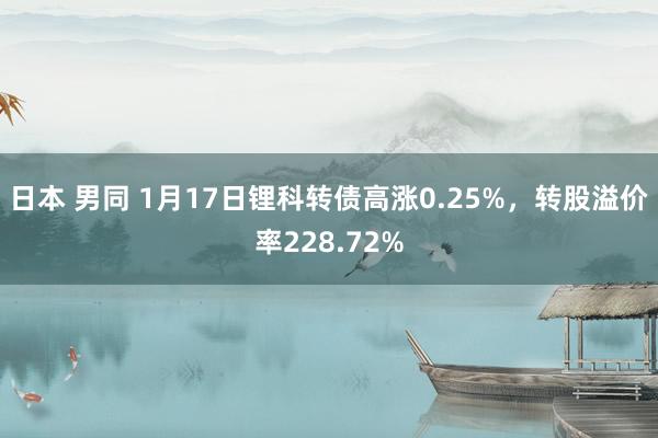 日本 男同 1月17日锂科转债高涨0.25%，转股溢价率228.72%